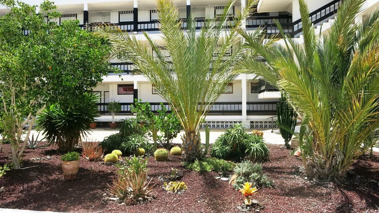 Appartement 100 Meters From The Ocean à Callao Salvaje